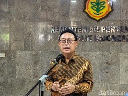 Dampak Perang Sudah Terasa Sampai RI, Ekspor Sawit Mulai Lesu