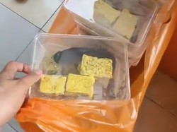 Video: Heboh Murid Diberi Menu MBG Lele Mentah, Pihak Sekolah Menolak