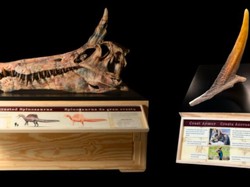 Dinosaurus Mirip Unicorn Ditemukan di Gurun Sahara