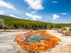 Tidak Aktif Sejak 2017, Geyser Asam Terbesar di Dunia Kembali Meletus