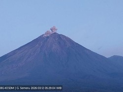 Gunung Semeru 4 Kali Erupsi, Tinggi Letusan Capai 600 Meter