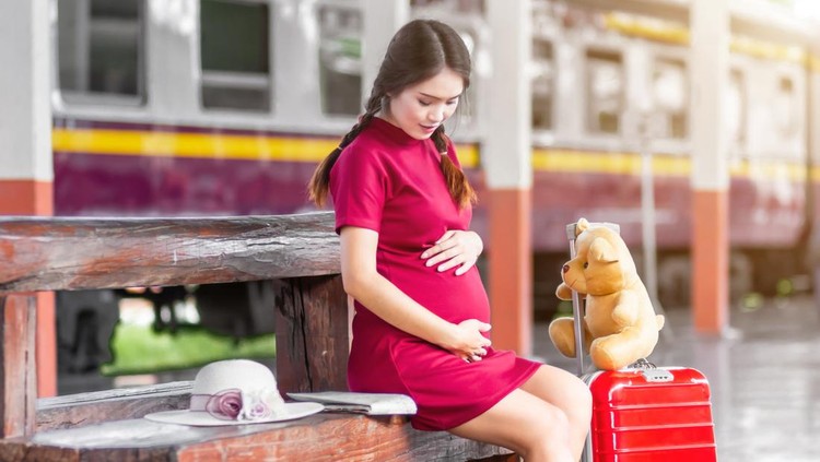 Ilustrasi Ibu Hamil Mudik