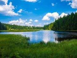 12 Negara yang Dianggap Aman Jika Perang Dunia III Pecah, Indonesia Masuk?