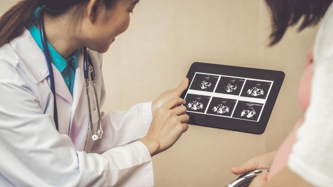 Ilmuwan Gunakan Ai Untuk Memprediksi Jenis Kelamin Bayi Sejak 3 Hari Kehamilan