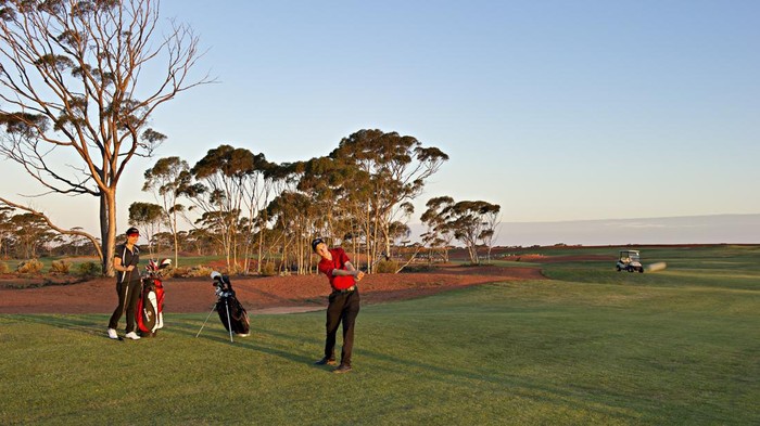 7 Lapangan Golf Ikonik di Australia Barat, Ada yang Bisa Sambil Ditemani Kanguru