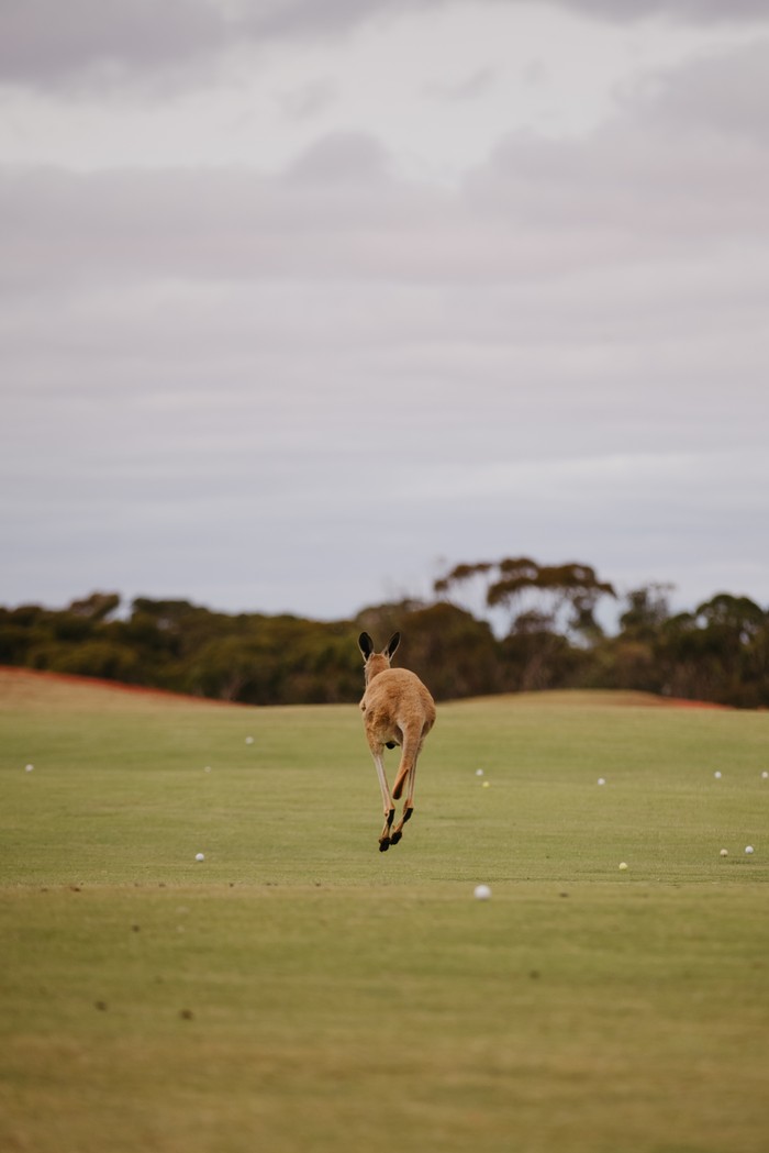 Afternoon golf at the Kalgoorlie Golf Course