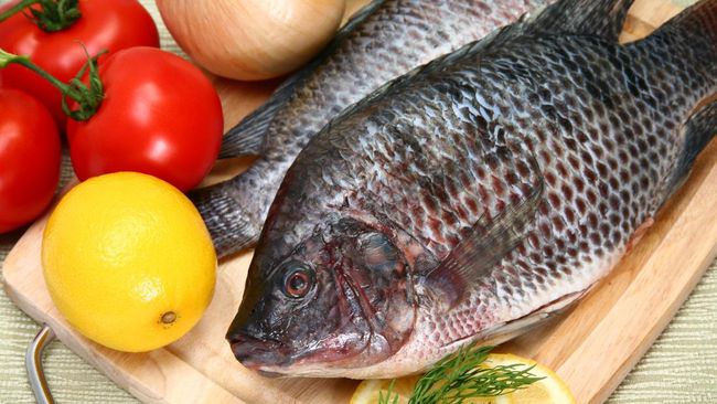 9 Resep Mpasi Ikan Nila, Menu Sehat Dan Bergizi Untuk Anak
