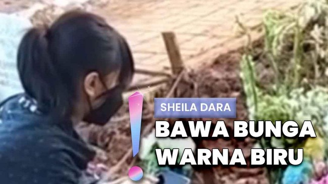 Video: Sheila Dara Ziarah ke Makam Vidi Aldiano Ditemani Keluarga