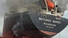 Kapal Kargo Thailand Diserang Proyektil Misterius di Selat Hormuz