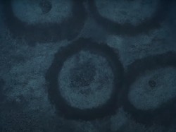 Misteri 1.400 Lingkaran Raksasa di Dasar Laut Mediterania Terungkap