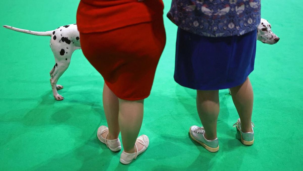 Nyalang: Gelisah Yang Terbelah