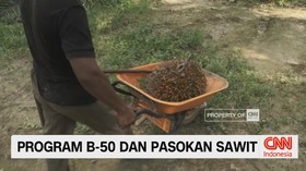 VIDEO: Konflik Timur Tengah Ancam Ekspor Sawit Indonesia