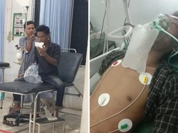 Pria di Musi Rawas Tewas Digigit Ular Kobra Saat Ngopi di Teras Rumah Kakaknya