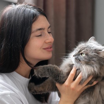 4 Ciri Kepribadian yang Dimiliki oleh Pecinta Kucing