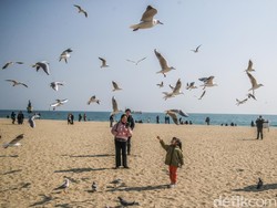 Korea Selatan dalam Bingkai Foto: Modern, Tradisional, dan Penuh Warna