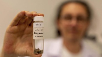 FOTO: Bukti Feses Pernah Digunakan Jadi Obat Romawi Kuno