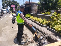 Arus Mudik Denpasar-Gilimanuk Makan Korban, Bocah 10 Tahun Tewas Ditabrak Mobil