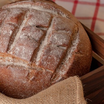 Rutin Makan Roti Sourdough Setiap Hari, Apa Efeknya pada Tubuh?