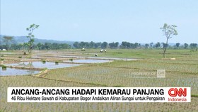 VIDEO: Ancang-Ancang Hadapi Kemarau Panjang di Indonesia