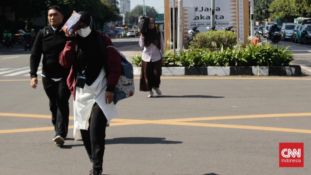 BMKG Ungkap Daerah-daerah Ini Berpotensi 'Terpanggang' Saat Kemarau