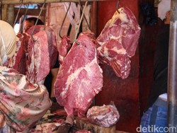 Jurus Pemerintah Agar RI Bisa Swasembada Daging Sapi