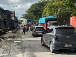 Pohon Tumbang Tutup Jalur Trans Sulawesi di Barru, Polisi Rekayasa Lalin