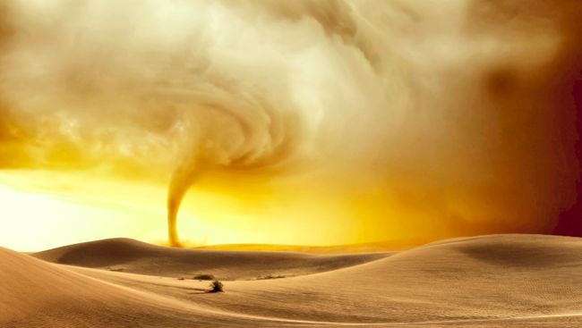 Gaza Dilanda Badai Pasir Besar, Ini Penyebab dan Dampaknya