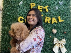 Hotel Anabul di Semarang Panen Cuan, Full Booked Sejak H-5 Lebaran