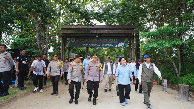 Kapolri Jenderal Listyo Sigit meninjau pemulihan konservasi gajah di Taman Nasional Tesso Nilo, Riau, mendukung upaya perlindungan habitat gajah Sumatera.
