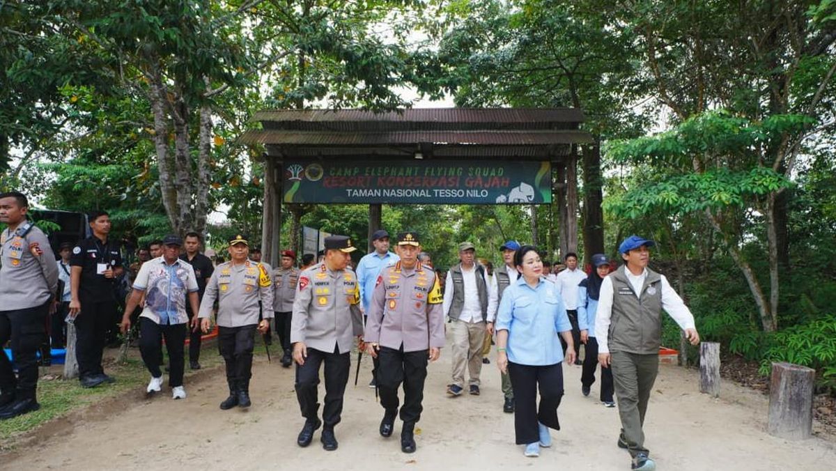 Kapolri Tinjau Tesso Nilo Bareng Titiek: Area Konservasi Gajah Aman