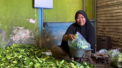 Cerita Penjual Daun Jeruk di Bali Kini Punya Rumah Berkat PNM Mekaar