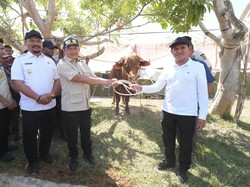 Prabowo Penuhi Aspirasi Warga Aceh, Salurkan Daging Meugang untuk Idulfitri