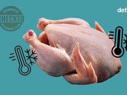 Infografis: Berapa Lama Daging Ayam Bisa Disimpan di Kulkas?