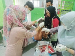 Serangan Anjing Liar Terjadi Lagi di Polman, Kini Balita 3 Tahun Jadi Korban