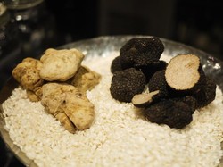 White Truffle vs Black Truffle, Bagaimana Perbedaan Aroma dan Rasanya?