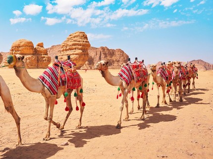 Bentuk Investasi yang Dicontohkan Nabi Muhammad SAW, Mudah Dicoba