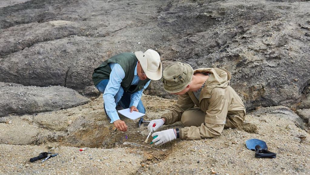 Temuan Cangkang Telur Unta Kuno, Diduga Jejak Geometri Tertua di Dunia