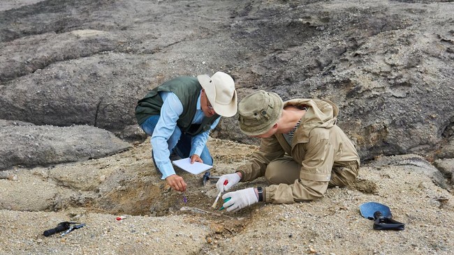 Peneliti menemukan ukiran geometris pada cangkang telur burung unta kuno, menunjukkan kemampuan kognitif dan kreativitas manusia purba 60 ribu tahun lalu.