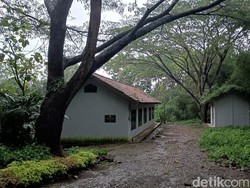 Menyusuri Kampung Mati Gunung Tugel Banyumas Bekas Kamp Calon Transmigran