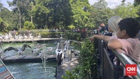 Masih Jadi Favorit Warga, Ragunan Dipadati Pengunjung H+1 Lebaran