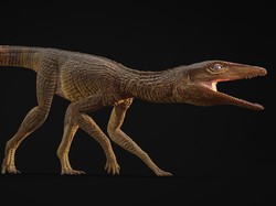 Kisah Buaya Darat Purba yang Bisa Lari Kencang, Dinamai dari Ksatria-Guru Fisika