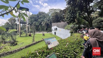 Pemprov DKI Jakarta Pertimbangkan Kenaikan Harga Tiket Ragunan
