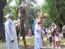 Serunya Parade Satwa KBS Diserbu Ribuan Pengunjung Saat Libur Lebaran