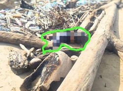 Tenggelam saat Naik Long Boat, Jasad Sudirman Ditemukan Memeluk Gelondong Kayu