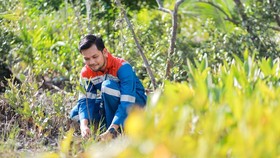 Hutan Lestari Pertamina: Menenun Harmoni Alam, Menuai Kesejahteraan