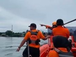 BPBD Sisir Laut Pantai Losari-Pelabuhan Makassar Cari Hiu Bikin Panik Warga