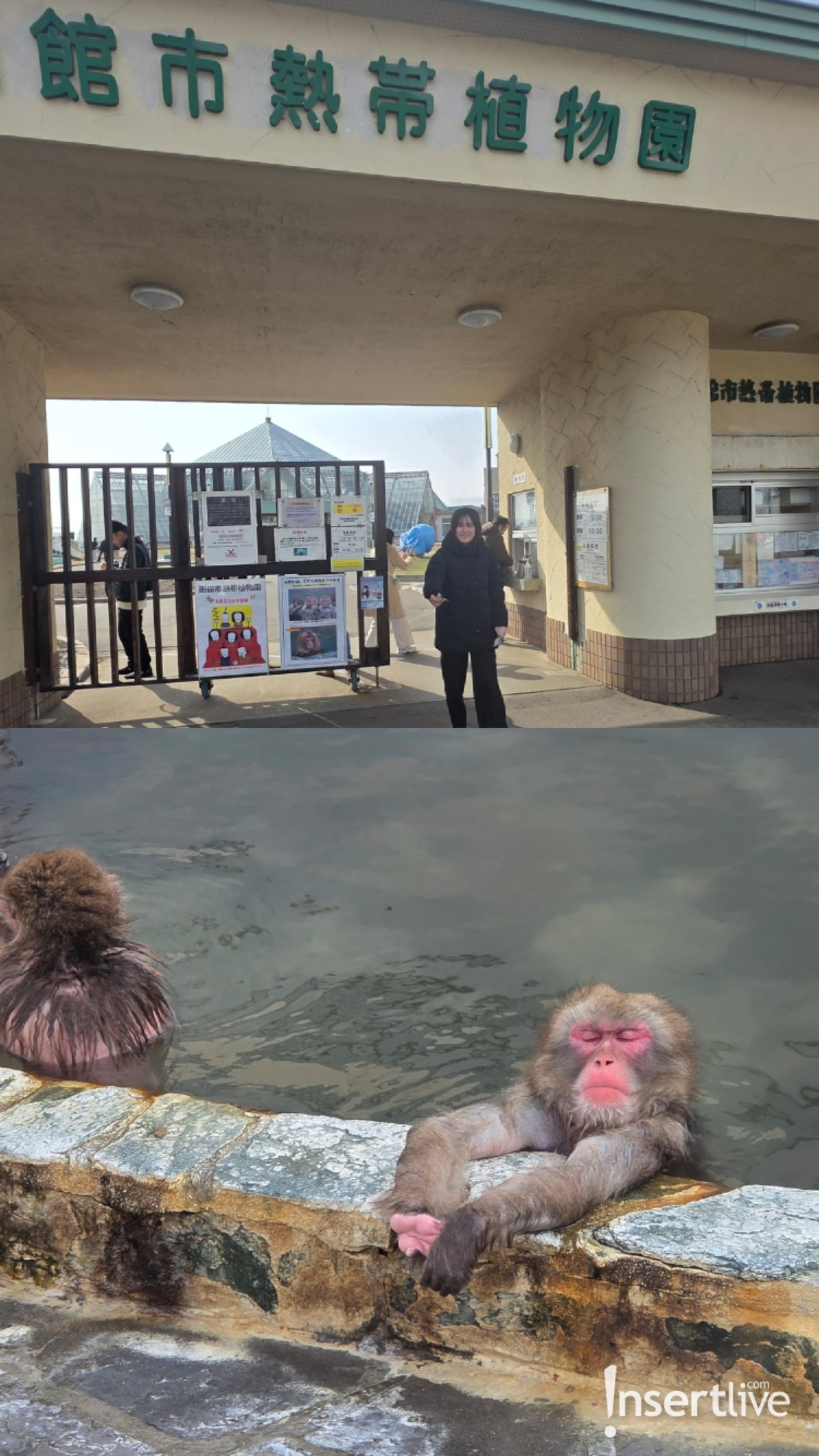 Hakodate City Icons &sol; Komario Bahar &lpar;InsertLive&rpar;