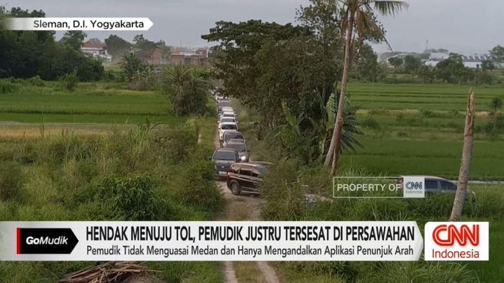 VIDEO: Hendak Menuju Tol, Pemudik Justru Tersesat di Persawahan