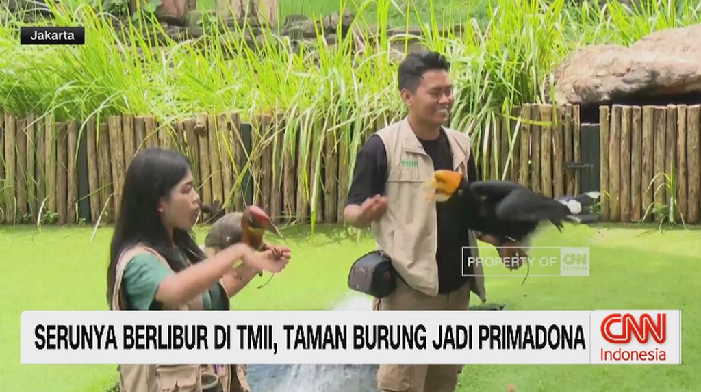 VIDEO: Serunya Liburan di TMII, Taman Burung Jadi Primadona