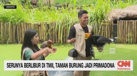 VIDEO: Serunya Liburan di TMII, Taman Burung Jadi Primadona